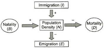 Solution diagram