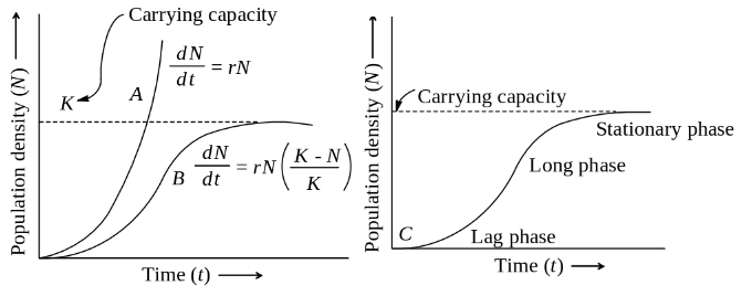 Solution diagram