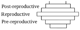 Solution diagram