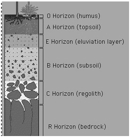 Solution diagram