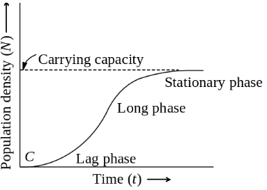 Solution diagram