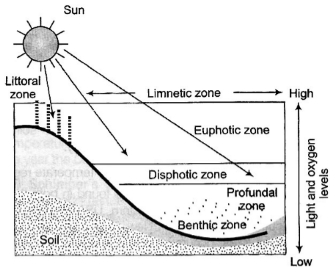 Solution diagram