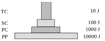 Question diagram