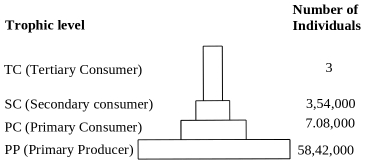 Question diagram
