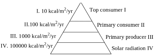 Question diagram
