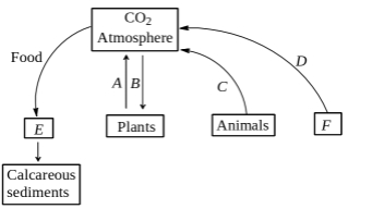 Question diagram