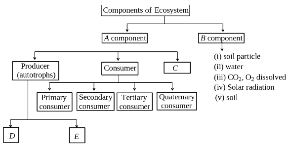 Question diagram
