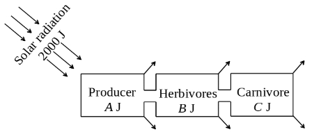 Question diagram