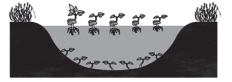 Question diagram