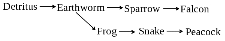 Solution diagram