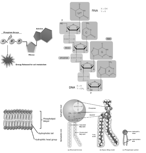 Solution diagram