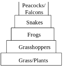 Solution diagram