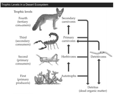 Solution diagram