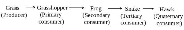 Solution diagram
