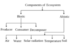 Solution diagram