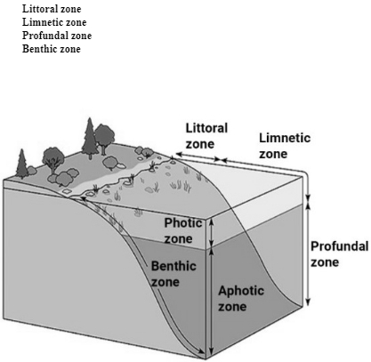 Solution diagram