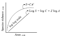 Solution diagram