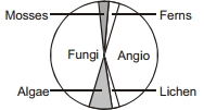 Solution diagram