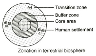 Solution diagram