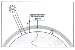 Question diagram