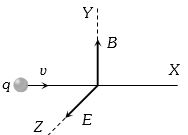 Option A
