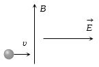 Option B