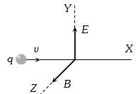 Option B