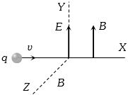 Option C