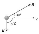 Option D