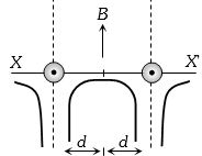 Option D