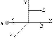 Option D