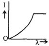 Option C