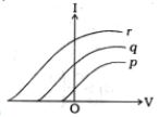 Option C