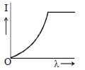 Option C