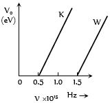 Option C