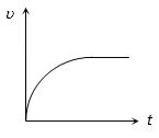 Option B