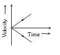 Option C