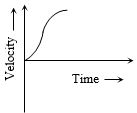 Option C