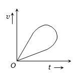 Option D