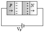 Option B