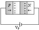 Option C