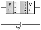 Option D