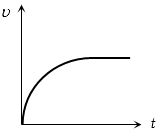 Option B