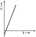 Option D