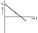 Option D