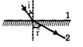 Option B