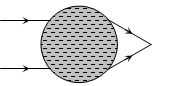 Option B