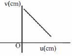Option B