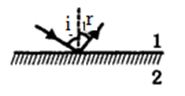 Option C