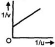 Option D